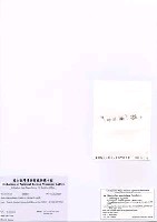 藏品(Bostrychia moritziana (Sonder ex Kutzing) J. Agardh)的圖片